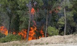 Sıcaklık Artıyor, Risk Büyüyor! Adana İçin Kritik Çağrı