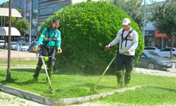 27 Parkta 'Nefes Alanı' Seferberliği Başladı: Ceyhan Yaza Hazırlanıyor