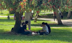 Adana’da Şok Sıcaklık! Termometreler 41 Dereceyi Gösterdi