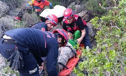 Adana’da Paraşüt Kazası: Ağaçlık Alana Düştü, Kurtarıldı