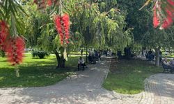 Adana Kavruluyor! Termometreler 41 Dereceyi Gördü