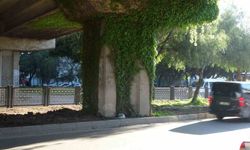 Adana’da Yürek Yakan Kaza: O Tabutun Üzerindeki Beyaz Örtü Herkesi Ağlattı!