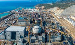 Mersin Akkuyu'da Skandal Olay: Nükleer Santralde 200 İşçi Yemekten Zehirlendi!