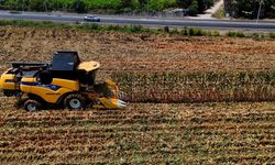 Mısır Kararında Tartışma Büyüyor: Yerli Üretim Risk Altında