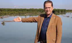 Çukurova’da Tarım Alarmı: “Çiftçi İki Yıldır Afetlerle Savaşıyor”