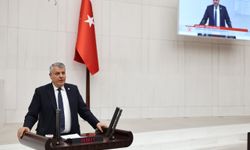 Ayhan Barut, Meclis'te Orman Talanına İsyan Etti