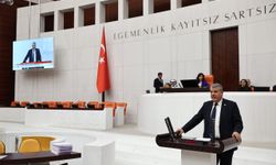 Adanalı Vekili İsyan Etti: Mısır İthalatı Yerli Üreticiye Darbedir!