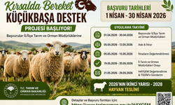 Dev Destek Başlıyor! Küçükbaş Hayvan Dağıtımı İçin Başvurular Açıldı