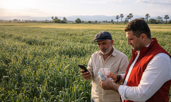 Tarımda Destek Baharı! Toplam 311 Milyon Lira Hesaplara Geçiyor