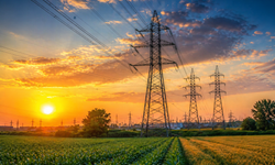 Adana’da Büyük İhale: Çukurova Tarım İşletmesi Elektrik Alacak: