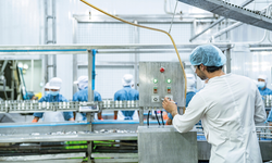 Adana'nın En Baskın İş İmkanı Olan Sektörleri Belli Oldu