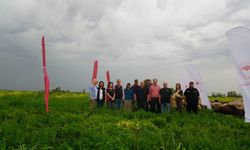 Adana’da Hayvancılığa Büyük Destek: 480 Dekarlık Mera Projesi Açıldı