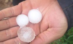 Başkan Mutlu Doğru'dan Hatay'daki Dolu Felaketi İçin 'TARSİM' Uyarısı!