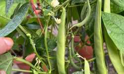 Adana’da Sürdürülebilir Tarım İçin Önemli Buluşma