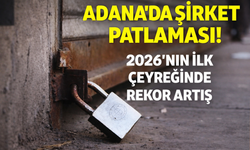Adana’da Şirket Sayısı Patladı! 3 Ayda 925 Yeni Firma