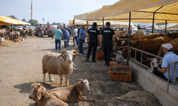 Kurban Kesim Hizmeti Alınacak! Adana Büyükşehir’den Milyonluk Hazırlık Başladı