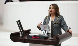Şevkin: "Karalar Neden Hâlâ Görevine İade Edilmiyor?"
