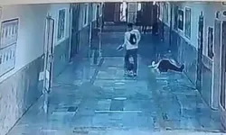 Toplumsal Şiddetin Anatomisi: Türkiye’deki Okul Saldırıları