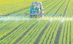 Gıdada Zam Artışı Kapıda! Gıda Fiyatlarını Etkileyecek Kritik Veri Açıklandı