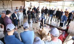 Sarıçam’da Uygulamalı Kurban Kesim Eğitimi Tamamlandı