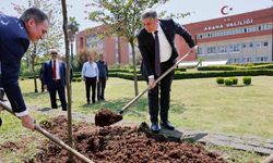 Valilik Bahçesinde Narenciye Dikimi Gerçekleştirildi