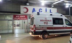 Kozan’da Cinayet Şüphelileri Yakalandı