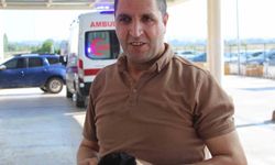 Adana'da Tanıdık Bayram Manzarası: "Kasabım Dedi, 13 Dakikada Parmağını Kesti"