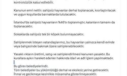 İstanbul Valisi Davut Gül: 'Sahipsiz hayvanların yüzde 46'sı toplanmıştır; kalanların tamamı da toplanacaktır'