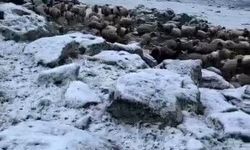 Haziran’a 1 Gün Kala Kar Şoku: Yaz Beklerken Kış Geri Geldi!