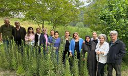 Ak Zambak Projesiyle Kadın Emeği Toprakla Buluşuyor