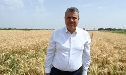 CHP’li Ayhan Barut’tan Buğdayda 25 TL Alım Fiyatı Çağrısı