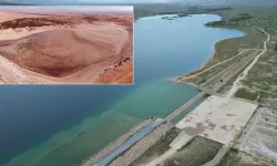 Kuraklıktan Bolluğa: Geçen Yıl Tamamen Kurumuştu