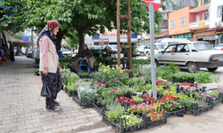Kozan’da Ata Tohumu Fidesine Büyük İlgi! Yayla Sezonu Hareketlendi