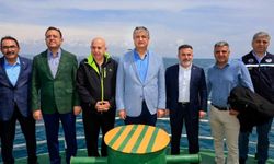 Akdeniz Sularında Bereket Mesaisi Başladı