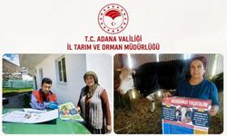 Adana'da Hayvan Kayıplarına Karşı 15 İlçede Seferberlik