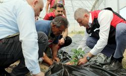 Adana’da Bir İlk: Kahve Üretimi İçin İlk Fidan Toprakla Buluştu