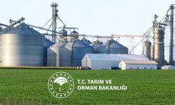 Dev Destek Paketinin Detayları Belli Oldu: Hangi Sektöre Kaç Milyon TL Verildi?