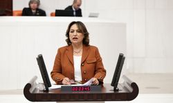 CHP'li Şevkin'den Meclis'te Uyarı: Jeoloji Bilimi Dışlanamaz