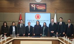 TBMM’ye Bir Ayda 1.544 Dilekçe Yağdı: Vatandaş En Çok Bunlardan Şikâyet Etti