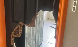 Adanaspor’un Tesisler Harabeye Döndü