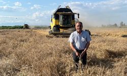 Çukurova'da Buğday Hasadı Kapıda: Üretici Taban Fiyat İçin Müjde Bekliyor!