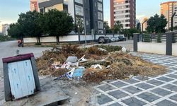 10 Gündür Tek Bir Çöp Bile Alınmadı: Mahalleli İsyan Etti