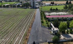 Ceyhan Belediyesi'nden Kesintisiz Asfalt Seferberliği
