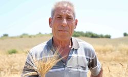 Adana'da Unutulan Ata Tohumu Yeniden Toprakla Buluştu!