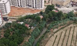 Kanalizasyon Dereye Akıyor İddiası! Kozan'da Vatandaşlardan Büyük Tepki