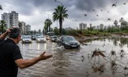 Adana’da vatandaşın kâbusu geri döndü; SİVRİSİNEK