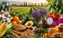 Adana Tarımında Yeni Dönem! Çiftçiler Alternatif Ürünlere Yöneliyor