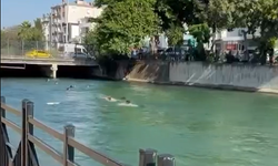Boğulmalar Artıyor, Tehlike Devam Ediyor!