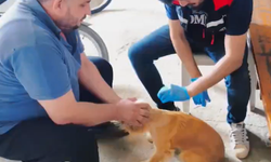 Adana Evcil Hayvan Mikroçip Uygulaması Başladı