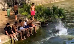 Fransızlar Serinlemek İçin 'Adana Usulü' Çözüm Buldular